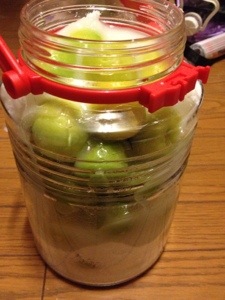 20130612-041415.jpg
